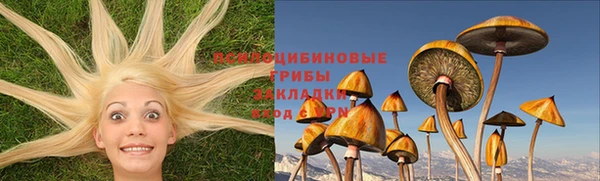 метамфетамин Алексеевка