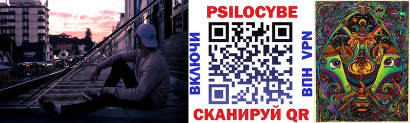Галлюциногенные грибы Psilocybe цена Перевоз